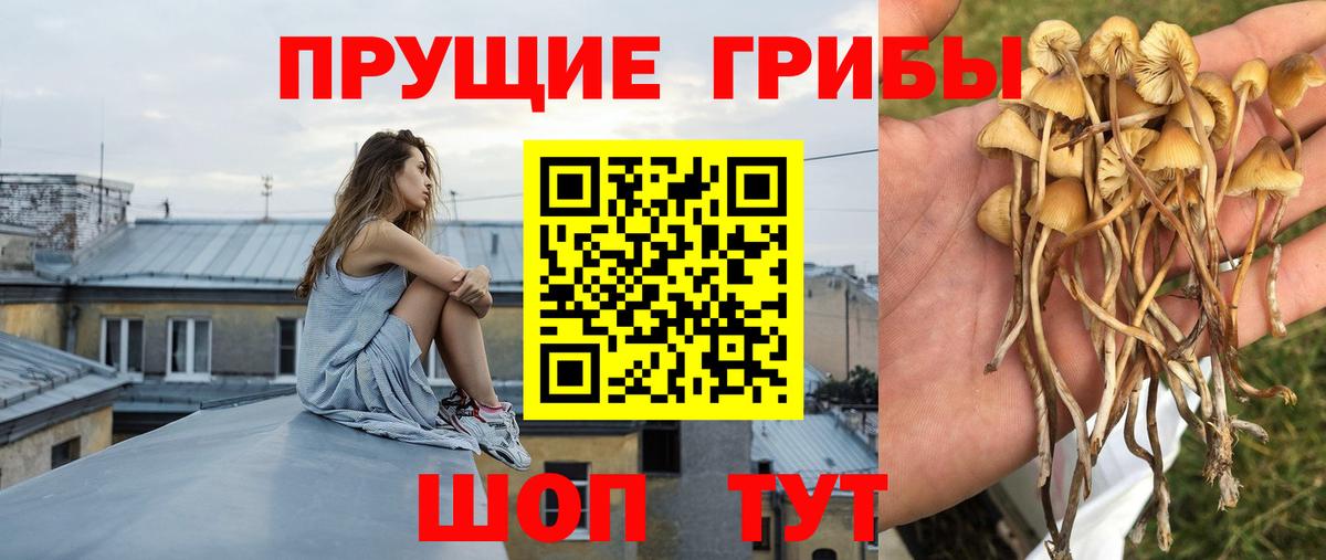 Амфетамин кристаллы  Вход с VPN  МДМА  ГЕРОИН  Мефедрон кристаллы  Марихуана  Елец  КОКАИН  Гашиш 